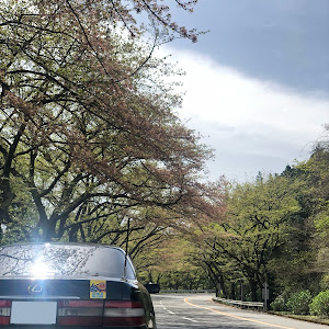 LS400