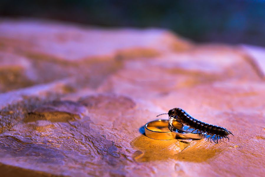 Fotografo di matrimoni Andres Beltran (beltran). Foto del 29 novembre 2016