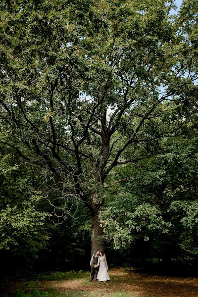 Весільний фотограф Виталий Киржанов (vitalyk). Фотографія від 5 вересня 2017