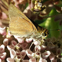 Skipper