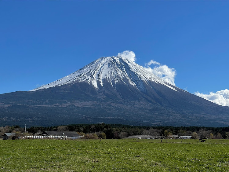 の投稿画像3枚目