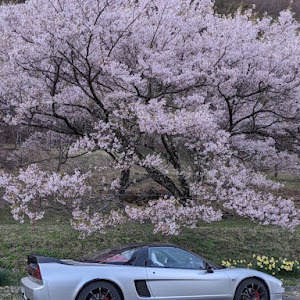 NSX NA1