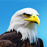 Eagle Simulator icon