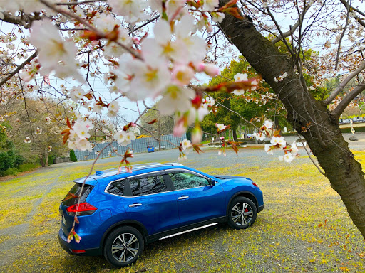 日産 エクストレイルを華麗にカスタム By ゆうま 03 31 季節ものは早出しで ここはまだ もう散った わからん てか 天気良くて満開だったら最高 Cartune