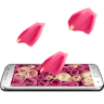 3D Rose Live Wallpaper icon