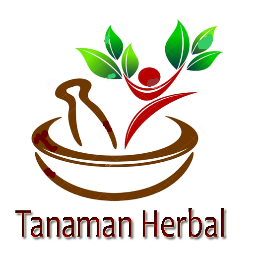 Tanaman Herbal