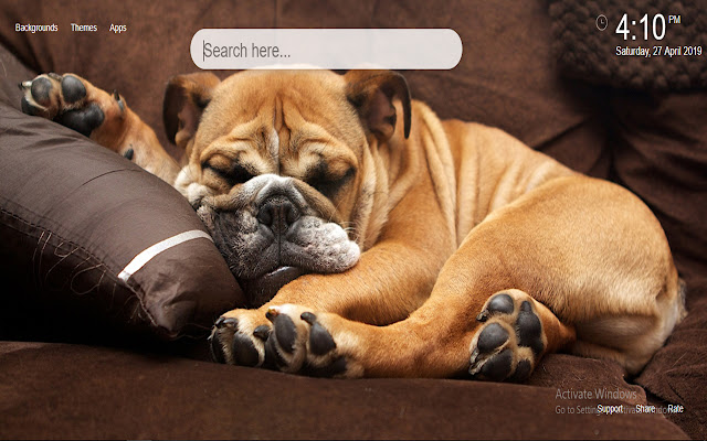 Cute Dogs HD Wallpaper แท็บใหม่