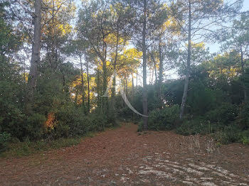 terrain à Saint-Jean-de-Monts (85)