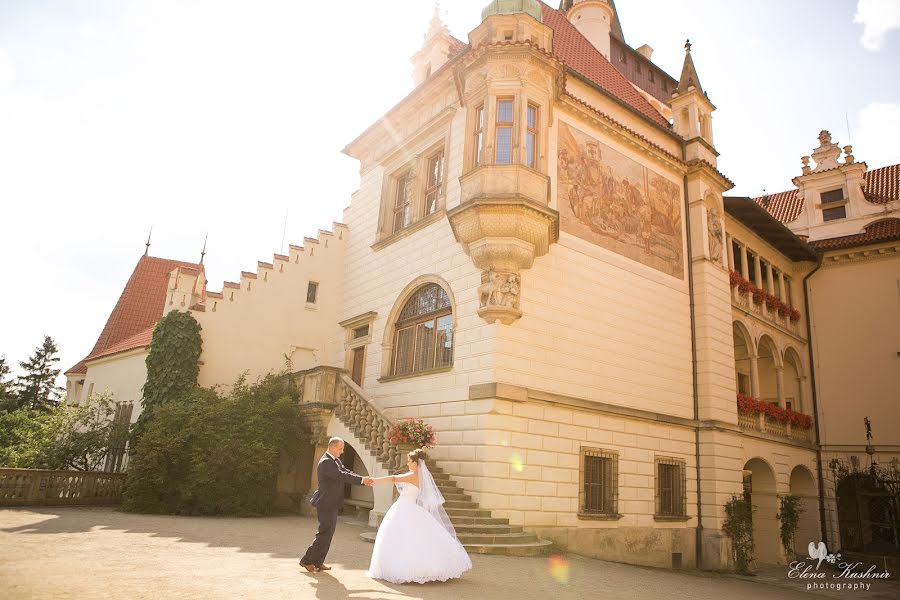 Fotógrafo de casamento Elena Kushnir (germina). Foto de 24 de julho 2016