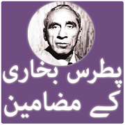 Patras Bukhari Ke Mazameen  Icon