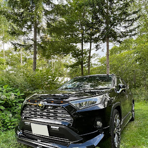 RAV4 MXAA54