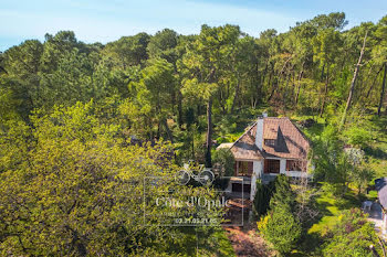 maison à Le Touquet-Paris-Plage (62)