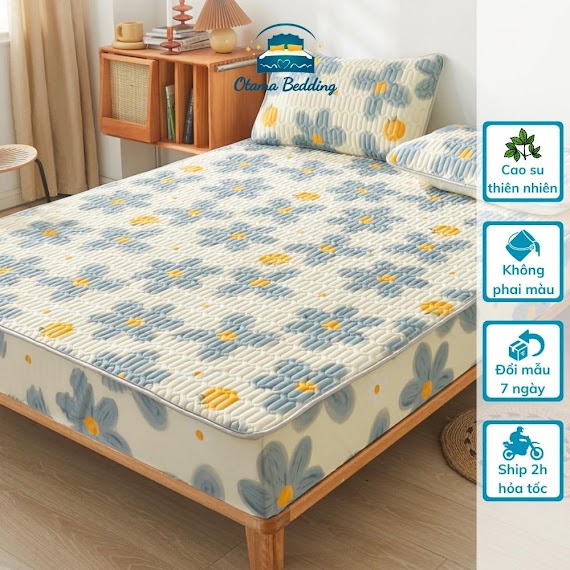 Chiếu Điều Hòa Bo Chun Cao Su Non Tencel Latex Cao Cấp Đủ Size 1M6 1M8 2M - Otama Bedding