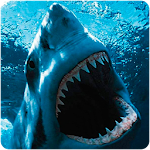 Cover Image of 下载 Shark Wallpapers 1.0 APK