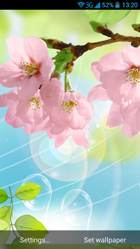 Sakura Live Wallpaper