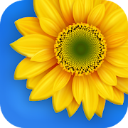 Gallery 1.2.3 Icon