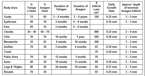 Body hair growth rate