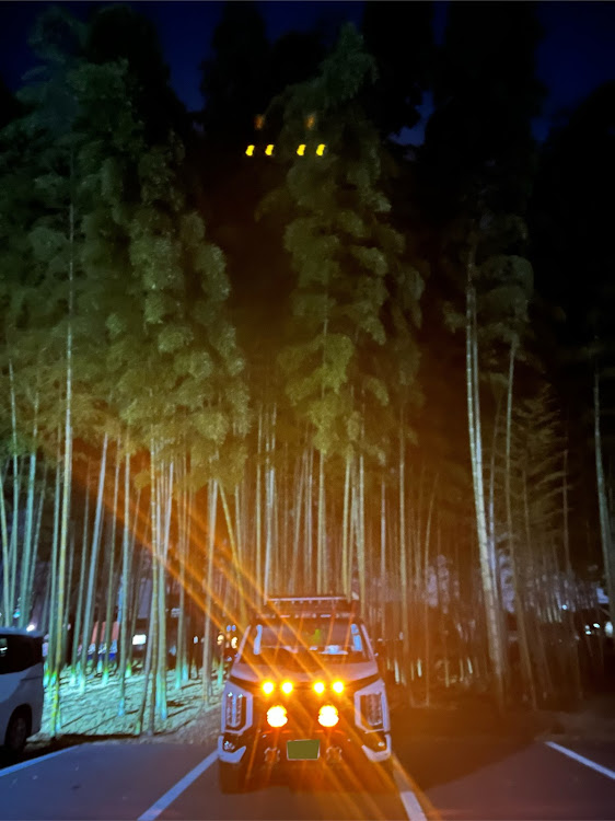 デリカD:5のアンバーにしたいに関するカスタム事例の投稿画像1枚目