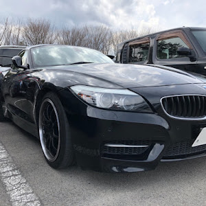 Z4 E89