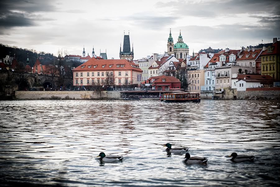 結婚式の写真家Standa Čihák (stancihak)。2020 11月26日の写真