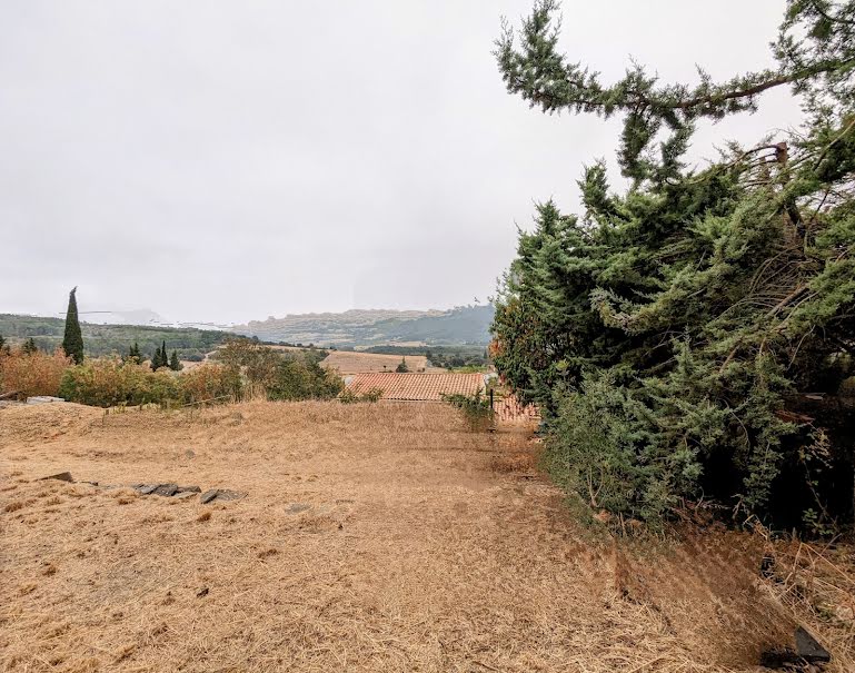 Vente terrain  1500 m² à Lagrasse (11220), 77 000 €