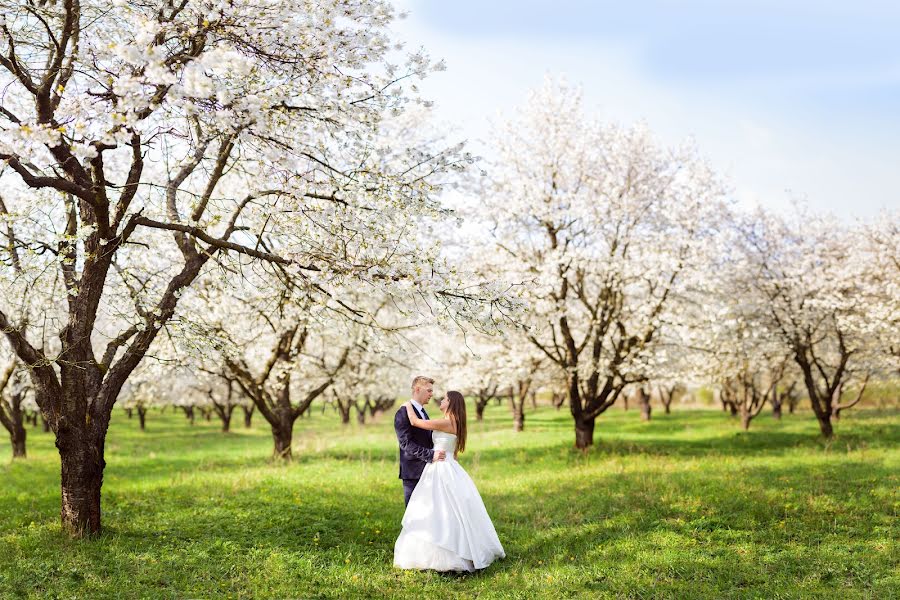 Fotógrafo de casamento Katarína Komžíková (komzikova). Foto de 8 de junho 2016