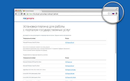 Расширение для плагина Госуслуг