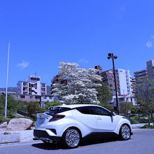 C-HR ZYX10