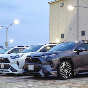 RAV4 AXAH54