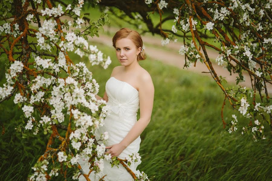 Fotógrafo de bodas Alina Art (alinabuchilo). Foto del 30 de mayo 2016