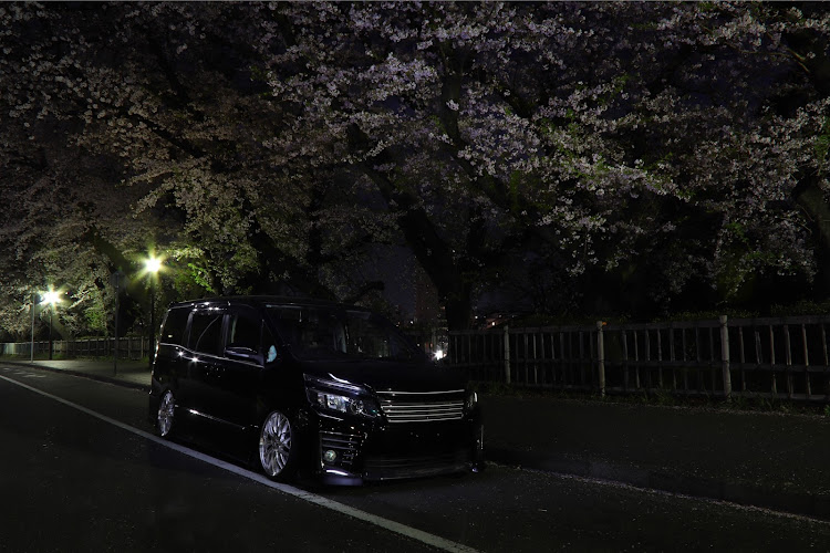 ヴォクシーの80ヴォクシー・一眼レフ・生脚・桜と愛車・ドライブに関するカスタム事例の投稿画像2枚目