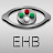 Eye Handbook icon