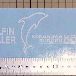 インプレッサ WRX STI GDB