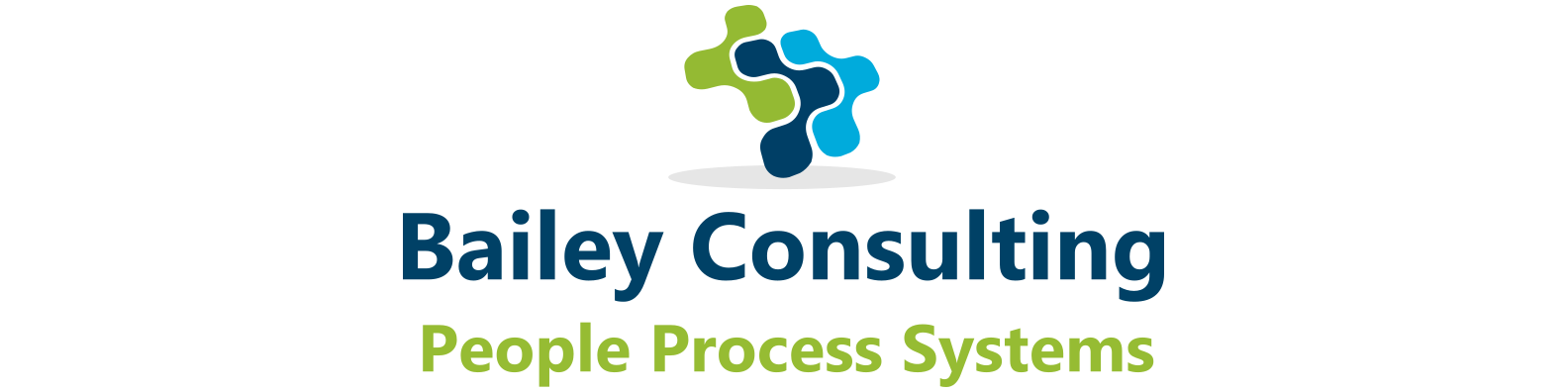 Bailey PPS Consulting Logo