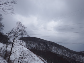 電線下の切り開きから上を仰ぐ