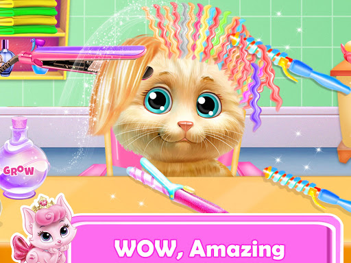 Pet Kitty Hair Salon