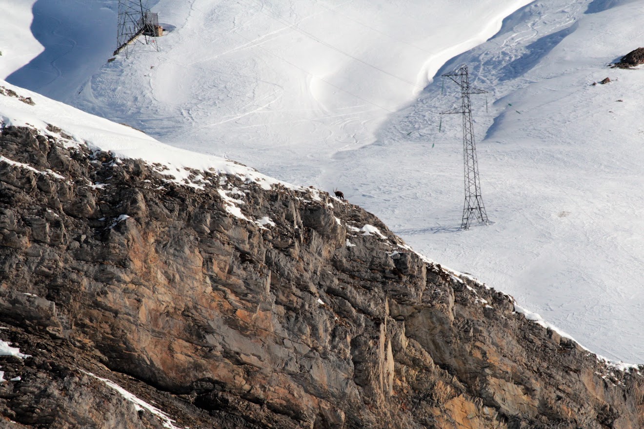 Col du lautaret bis, mais le mardi matin.. VO_XzCmRgKwkWZ6GuF8tayup1uNwBqljB3NqNKe-d_bF3oHmyD1tLgobMGPqlc62nQMRIA1nFwHwIHm6Z7U76jpEOo1XaOoydhVvE208ZsLYg8VK0xzl-u4kOOynoI0HnROPFxDRN39UxEB3xzc-reolp7K6hXR4ACgdcOP8CoY4y4h7yHnmQfaC9hcbYw76E0JEowVTZzqaDznwCDaItsfLjy7ZFKqtnkWfaIfhlBVF8TUw45menDgFuc9FGLP84PKDX9BQ4cz1tiq3HF4TH_vXESySWqhr4byOipt4tt3DELB04F8_zVcfbSq0XP6NSDzvLD72ZMqk5s-Zd-TTQ0ti0-udYoKomtiwsWuHQhemPivLXEscKGIJfuaD-4lCIivQS7CsTw7TpQEOyQO53_AixPRV3fUS3lTss-2D4vPm0yw1KJZuVg0f0E9-xpOP64Psq7KXVzbdKoSnGgx1_dxFZCDtzmWeUM1UmQ5Ld0EYAGDHrL28oUAPQJXCG6u2lag4Yhy2KtI8chspauG12gtNcJtJYiVI8LKsJpc9medvSzrRWVypMTtB2NzwX43aWt3Vx0EKC5lyMy3SAn61GJI4DVMXvaitpQuctb2_VkoT8he7zODD8kJTxfqUHq5YXnTtsQu9Q9kX3FmozneKkINy89q2bUANmeyAYP5HNdI=w1320-h880-no