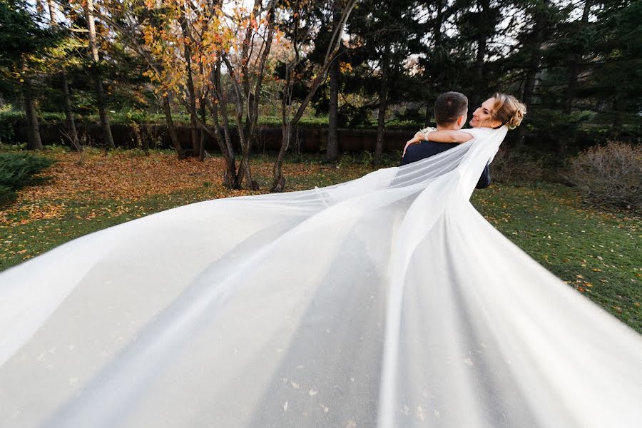 Fotógrafo de bodas Dmitriy Efremov (beegg). Foto del 11 de diciembre 2016