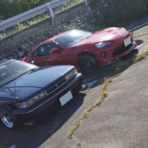 86 ZN6