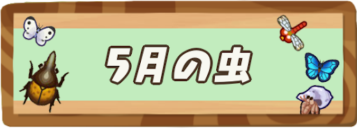 5月に出現する虫の値段図鑑