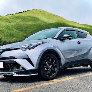 C-HR ZYX10