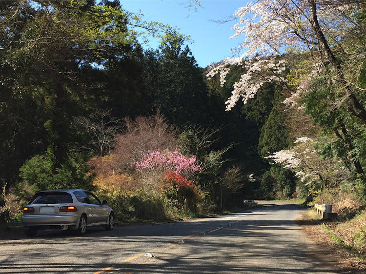 シビックの筑波山・VTEC・セーフティーマージンとってますに関するカスタム事例の投稿画像1枚目