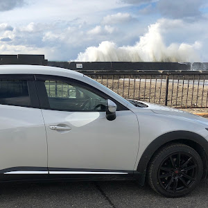 CX-3 DK5AW