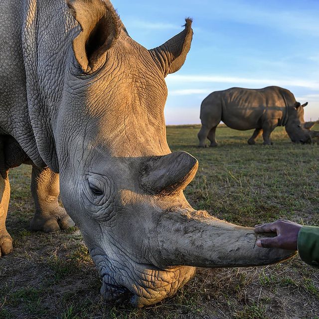 Photo by Ami Vitale in Ol Pejeta Conservancy. Image may contain: people sitting, sky, outdoor and nature.