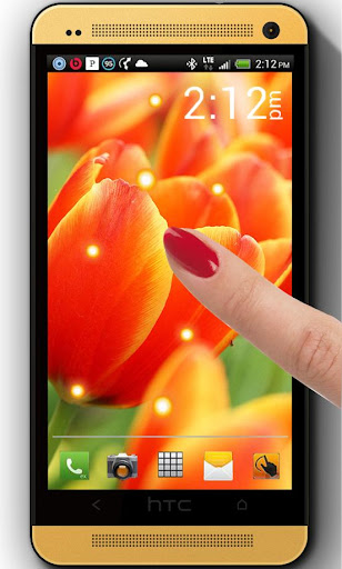 免費下載個人化APP|Yellow Orange Tulips LWP app開箱文|APP開箱王