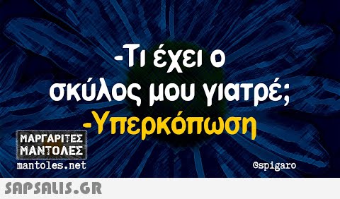 -Τι έχει ο σκύλος μου γιατρέ ; Υπερκόπωση. ΜΑΡΓΑΡΙΕΣ ΜΑΝΤΟΛΕΣ mantoles.net ©spigaro