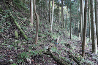 右に道らしきものあり登る