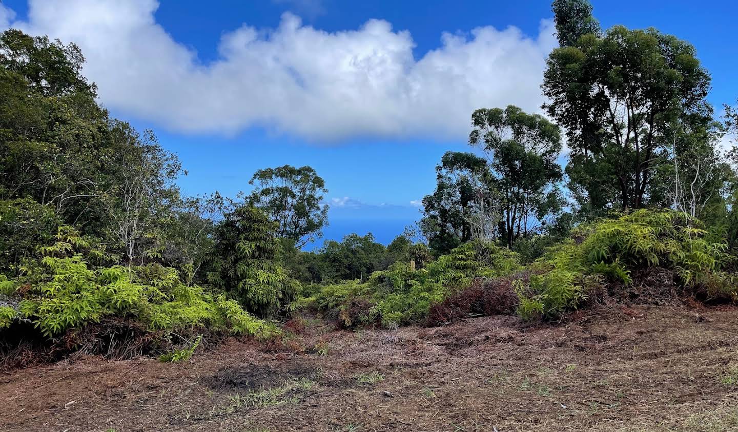 Terrain Pāpaʻaloa