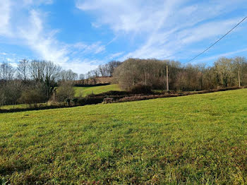 terrain à Salies-de-bearn (64)