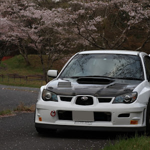 インプレッサ WRX STI GDB